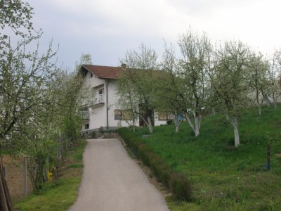 DSCN5637 (400 x 300).jpg
