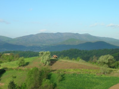 DSCN5688 (400 x 300).jpg