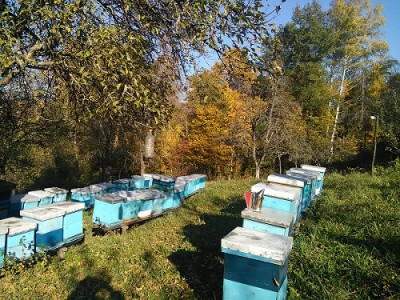 boje jeseni polako dolaze