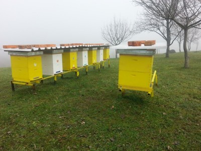 Kosnice decembar 4 1.jpg