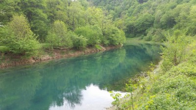 Do izvora se ide pjesice uz rijeku.Nama auta,buke,nista samo priroda,zelenilo i zvuk ptica.