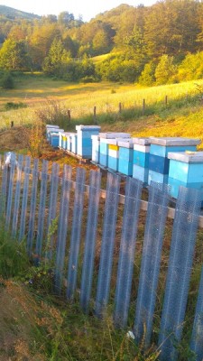 jedna od lokacija na planinskoj paši na približno 1000m n/v.