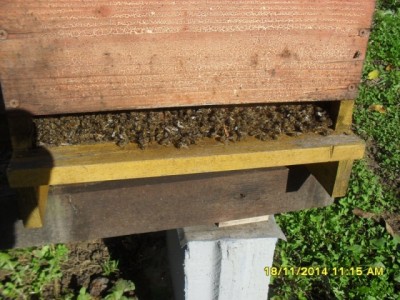 SDC18132.JPG