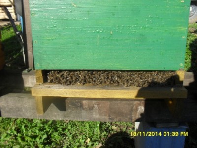 SDC18135.JPG
