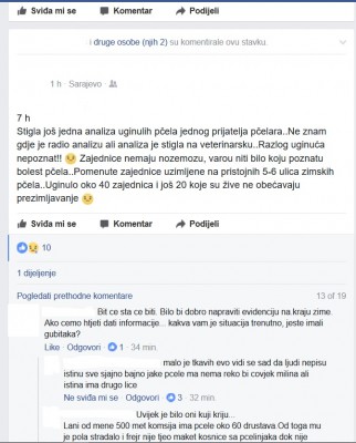Nestanak pčela.jpg