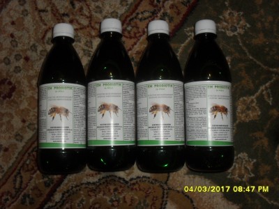 SDC18340.JPG