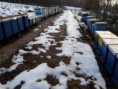 20181223_155053[1].jpg