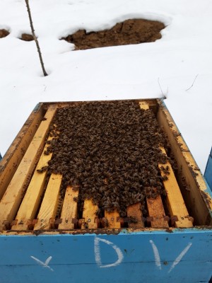 20190202_121853[1].jpg